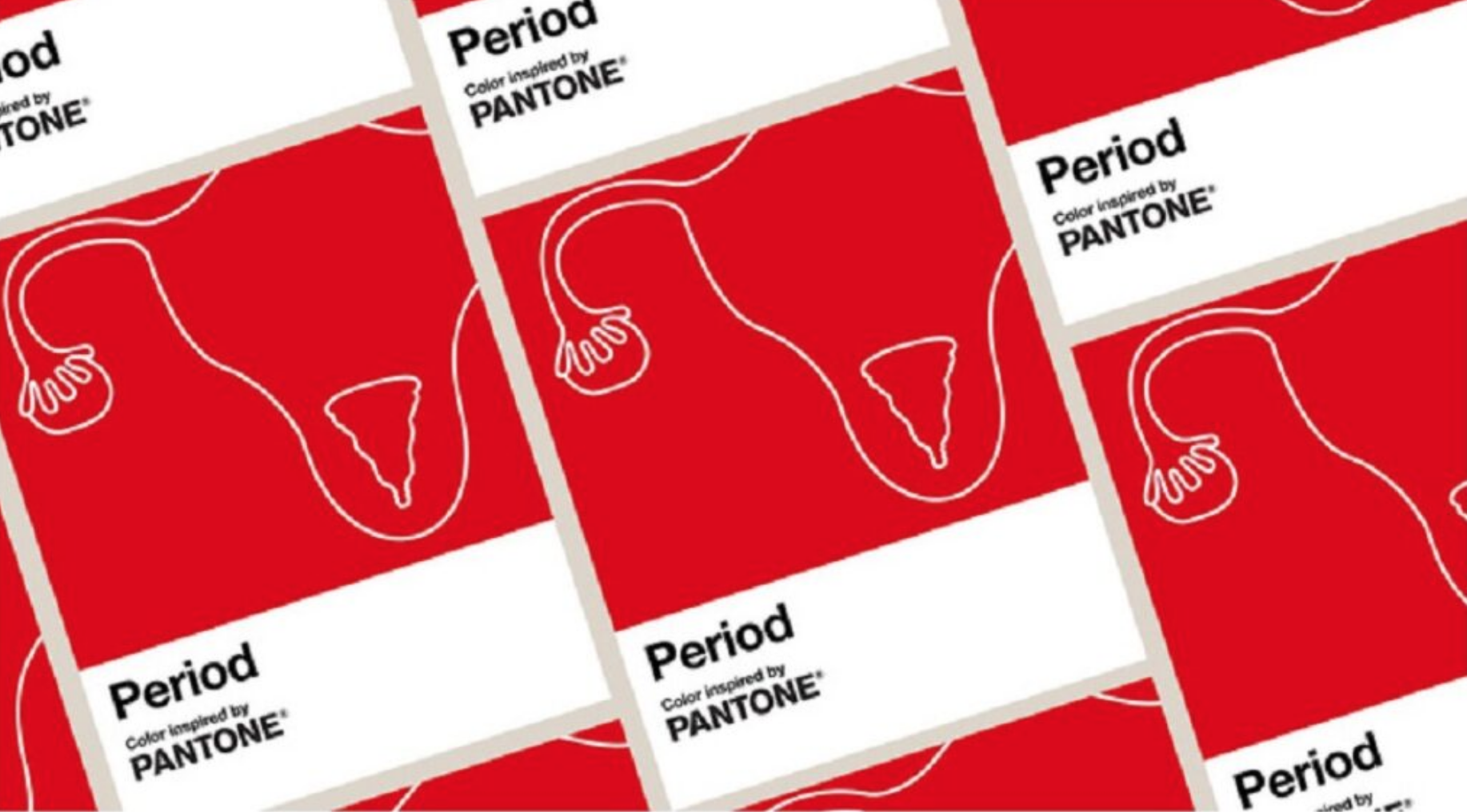 Nuovo colore per “Persone che hanno mestruazioni”: è troppo difficile dire “donne”? 1